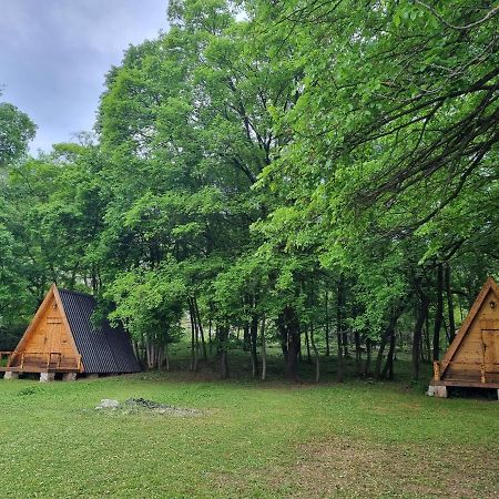 Wolf & Sheep Nature & Adventure ポドゴリツァ エクステリア 写真