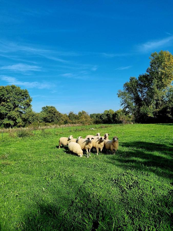 Wolf & Sheep Nature & Adventure ポドゴリツァ エクステリア 写真